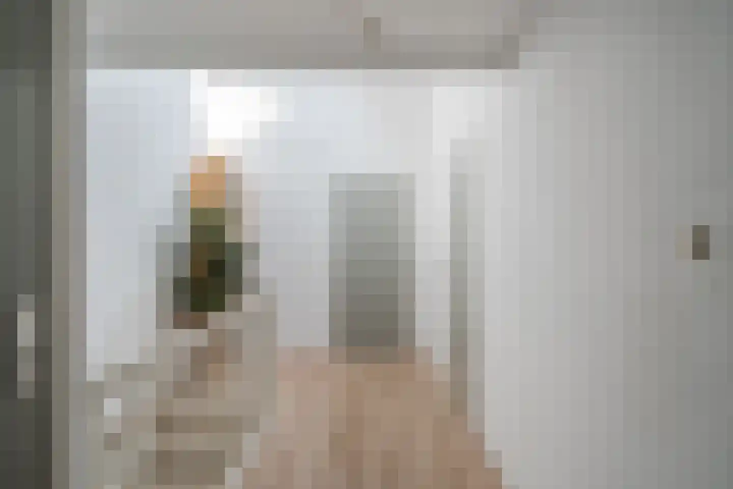 Zijde 296 Boskoop thumbnail 17
