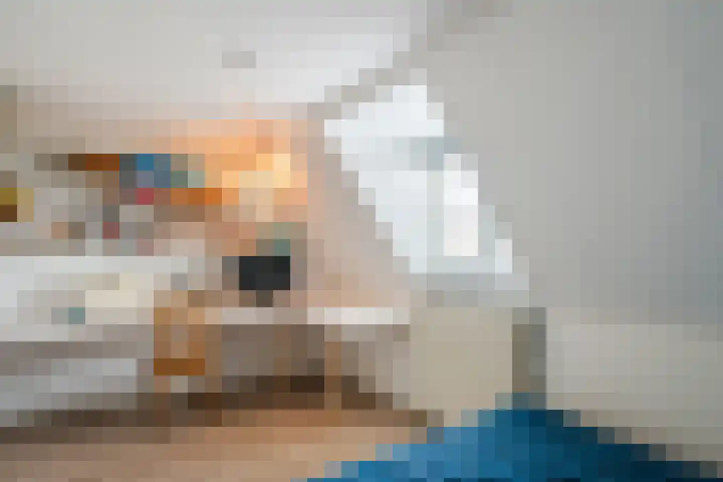 Zijde 296 Boskoop thumbnail 21