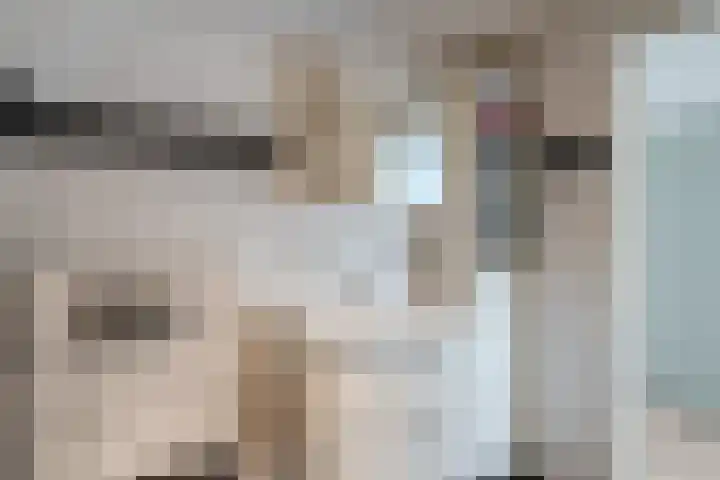 Zijde 296 Boskoop thumbnail 29