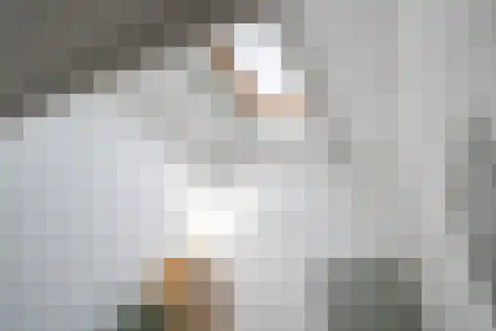 Zijde 296 Boskoop thumbnail 30