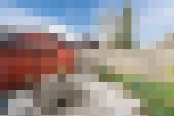 Zijde 296 Boskoop thumbnail 31