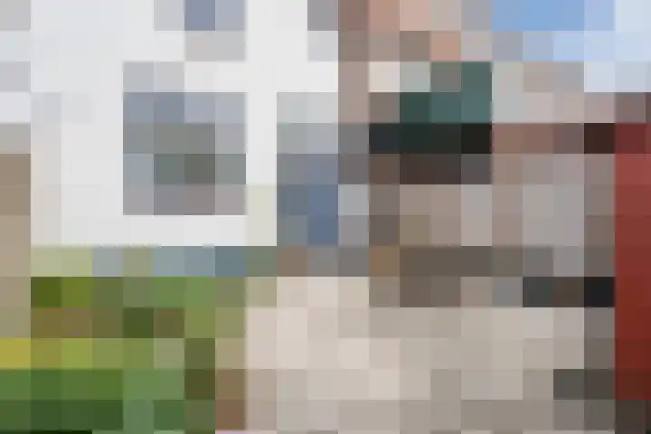 Zijde 296 Boskoop thumbnail 35