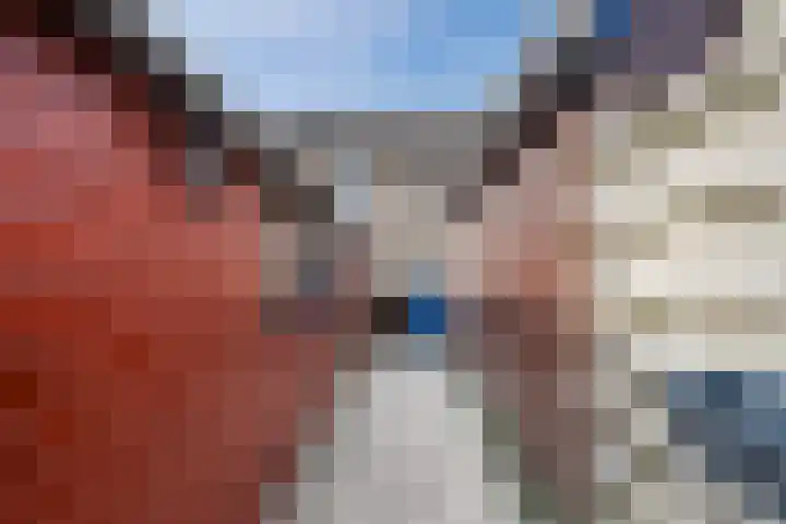 Zijde 296 Boskoop thumbnail 37