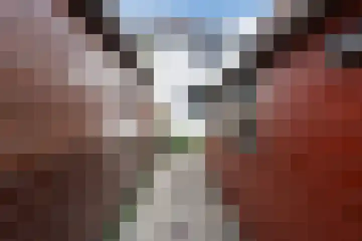 Zijde 296 Boskoop thumbnail 38