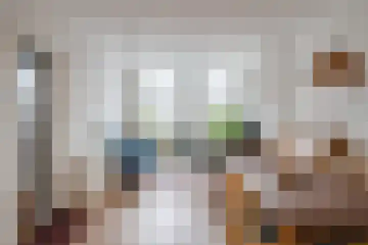 Zijde 296 Boskoop thumbnail 8