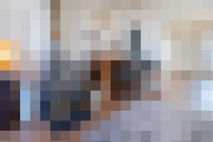 Zijde 336 Boskoop thumbnail 10