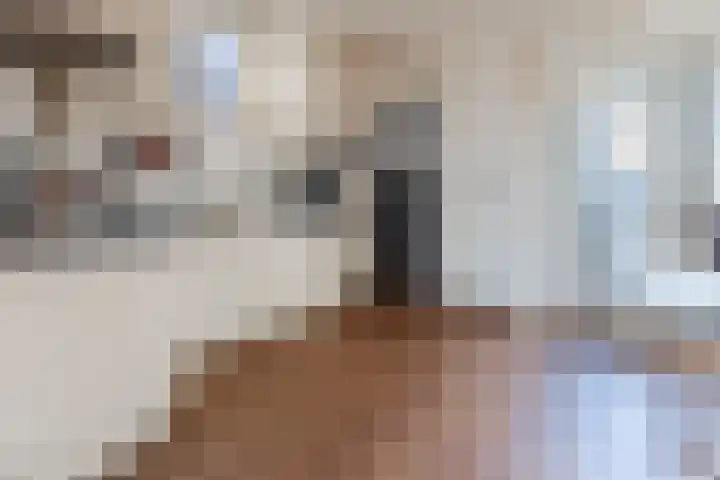Zijde 336 Boskoop thumbnail 11