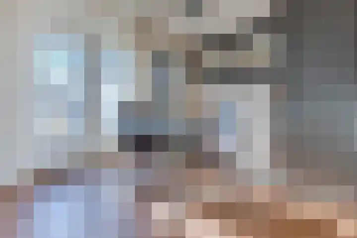 Zijde 336 Boskoop thumbnail 12