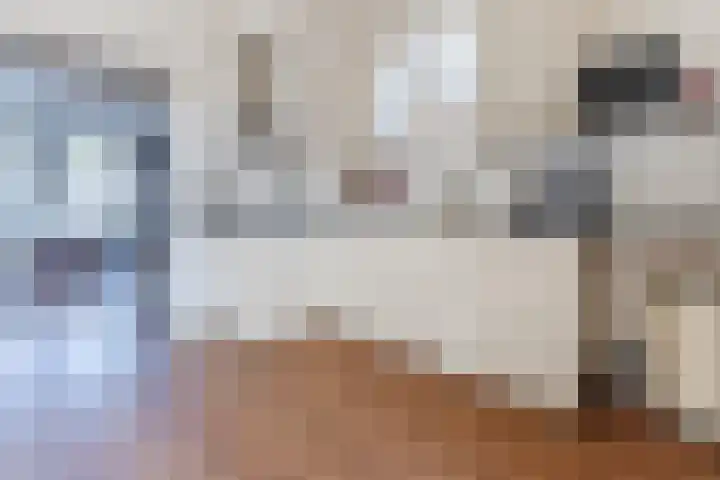 Zijde 336 Boskoop thumbnail 13