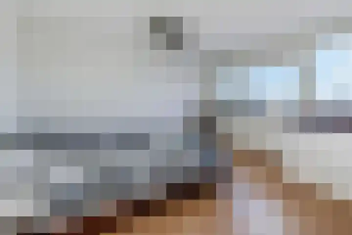 Zijde 336 Boskoop thumbnail 16