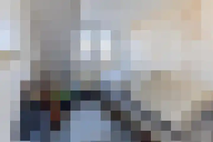 Zijde 336 Boskoop thumbnail 19