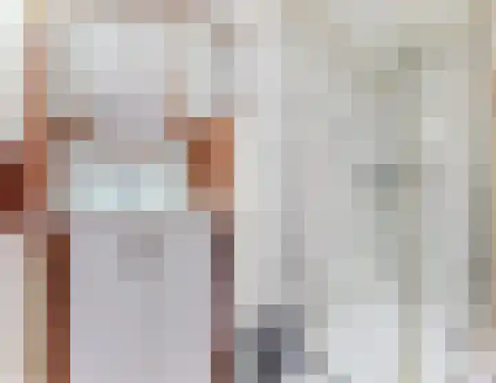 Zijde 336 Boskoop thumbnail 22