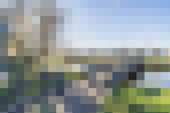 Zijde 336 Boskoop thumbnail 26