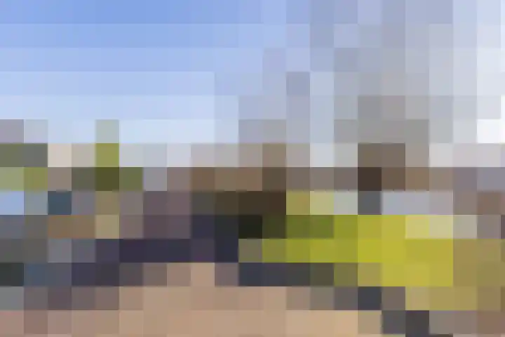 Zijde 336 Boskoop thumbnail 30