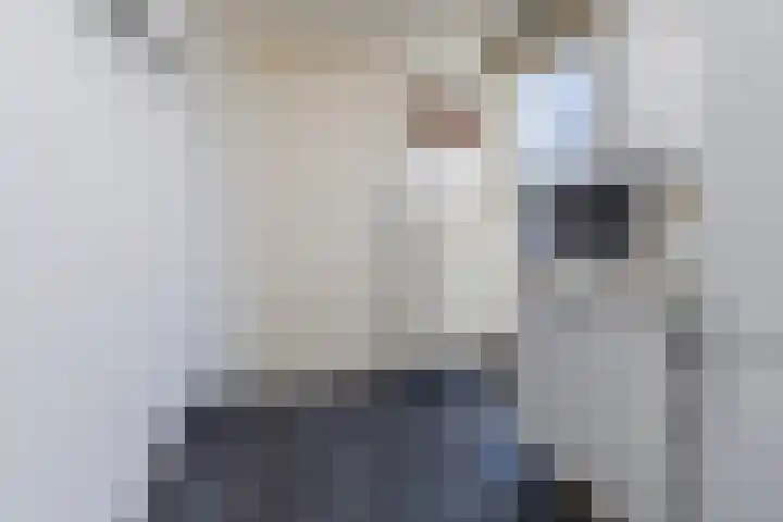 Zijde 336 Boskoop thumbnail 6
