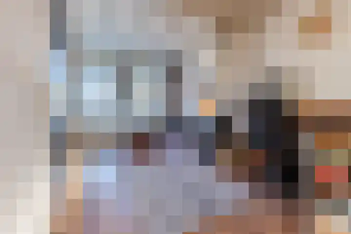 Zijde 336 Boskoop thumbnail 8
