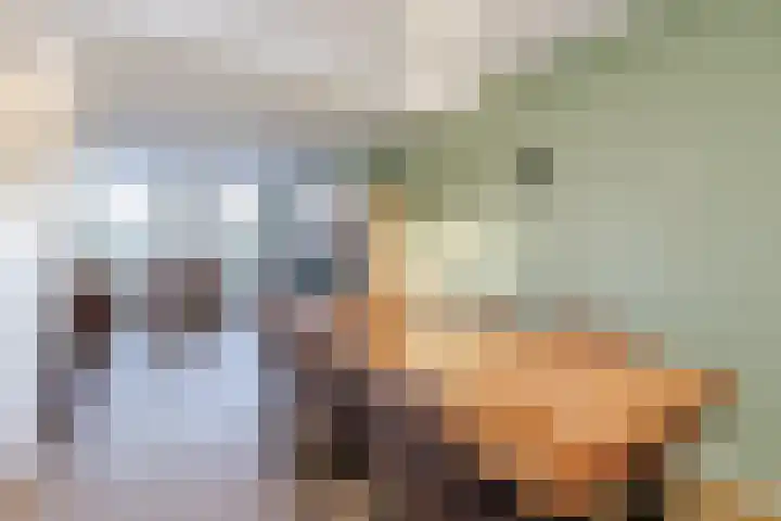 Zijde 338 Boskoop thumbnail 10