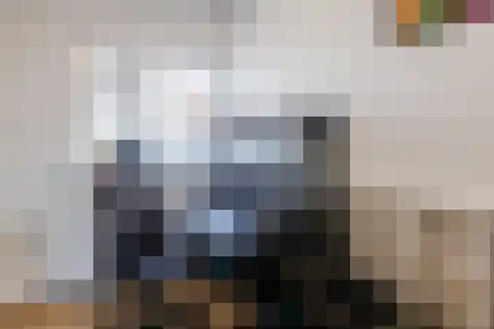 Zijde 338 Boskoop thumbnail 12