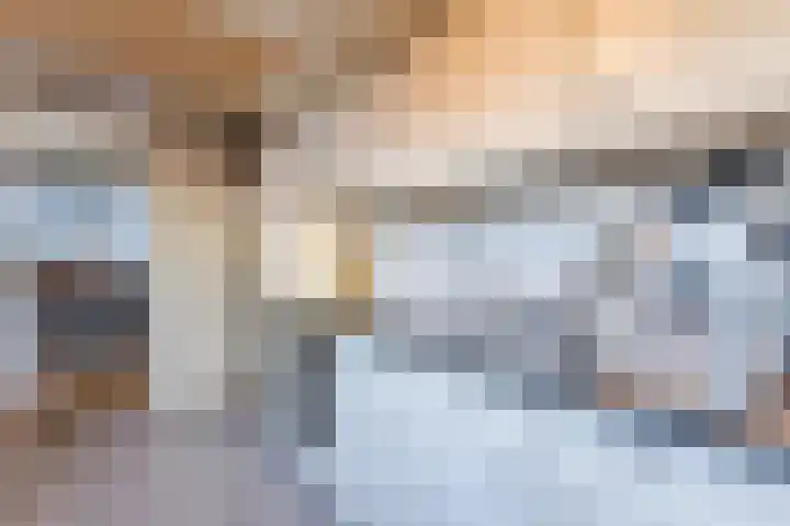 Zijde 338 Boskoop thumbnail 14