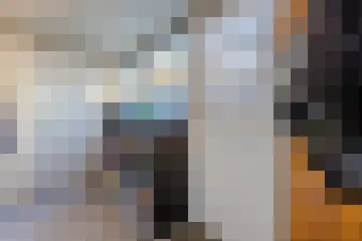 Zijde 338 Boskoop thumbnail 15