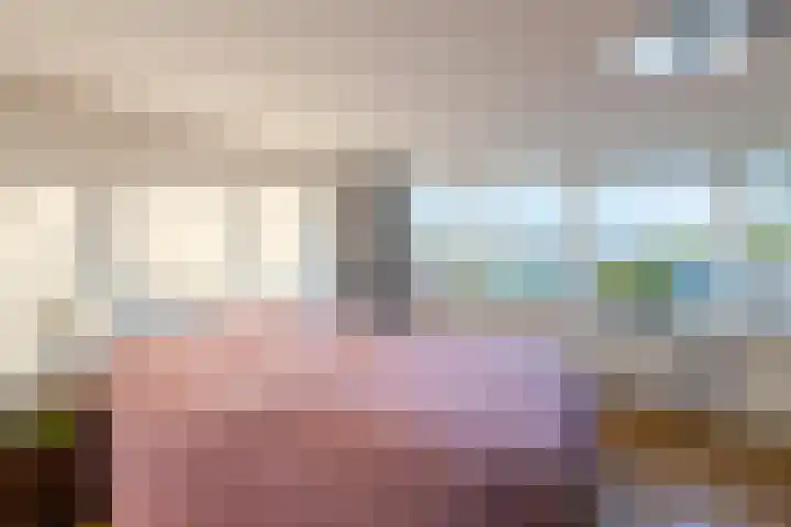 Zijde 338 Boskoop thumbnail 19