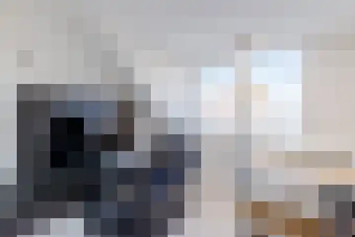 Zijde 338 Boskoop thumbnail 23