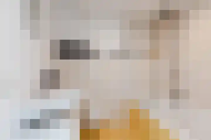 Zijde 338 Boskoop thumbnail 26