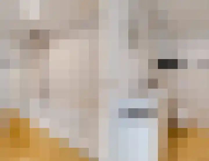 Zijde 338 Boskoop thumbnail 27