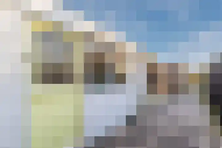 Zijde 338 Boskoop thumbnail 29