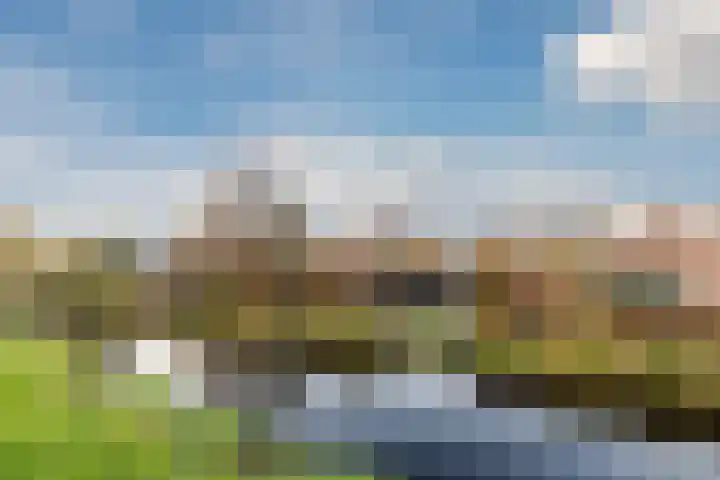 Zijde 338 Boskoop thumbnail 39