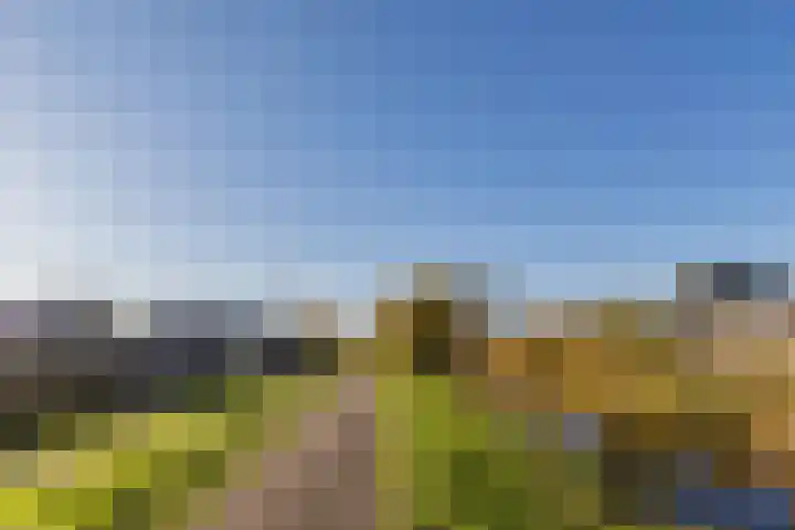 Zijde 338 Boskoop thumbnail 42