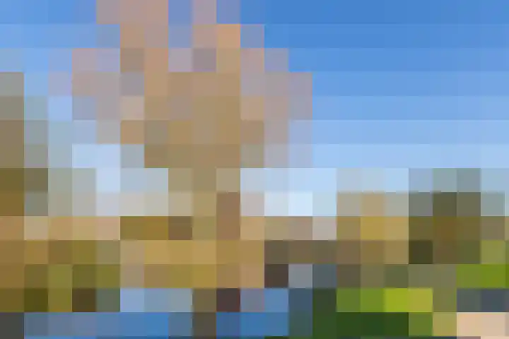 Zijde 338 Boskoop thumbnail 43
