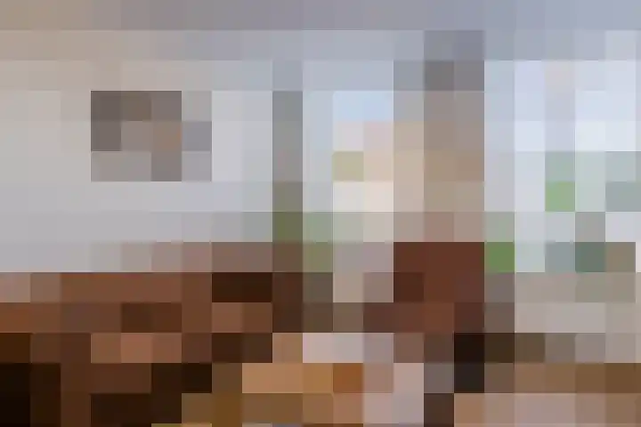 Zijde 338 Boskoop thumbnail 6
