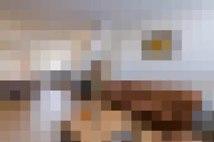 Zijde 338 Boskoop thumbnail 7