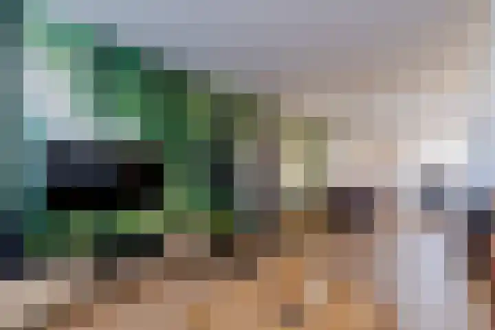 Zijde 338 Boskoop thumbnail 8