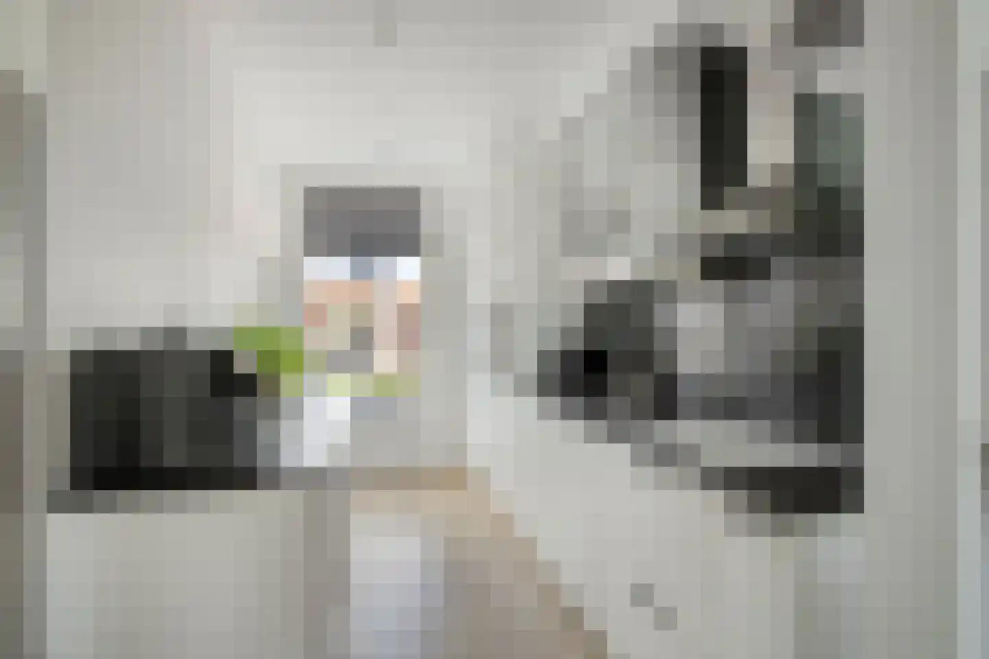 Zijde 354 Boskoop thumbnail 11