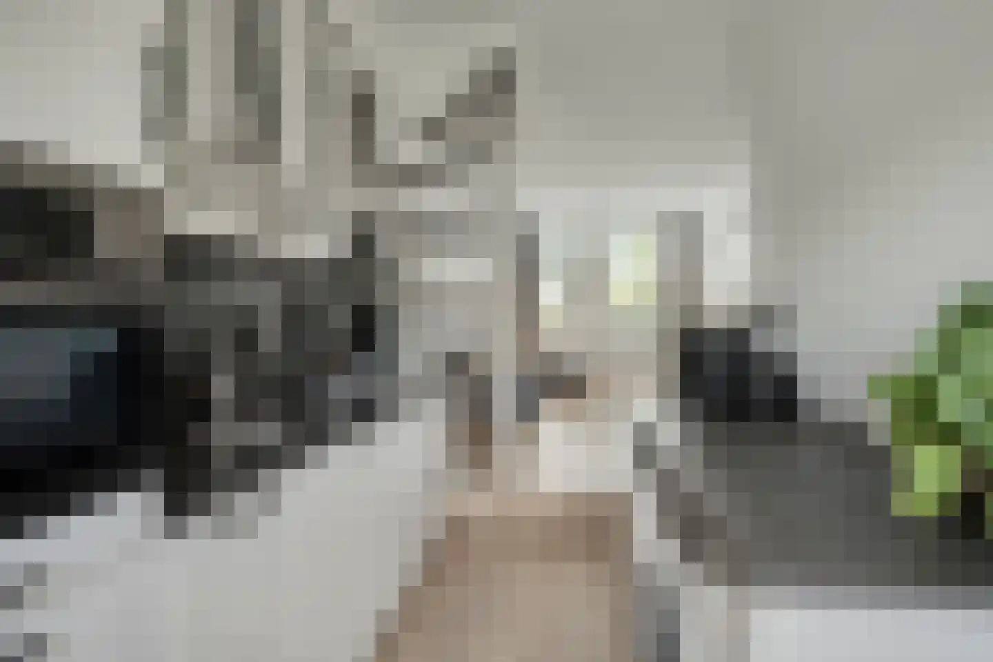 Zijde 354 Boskoop thumbnail 12