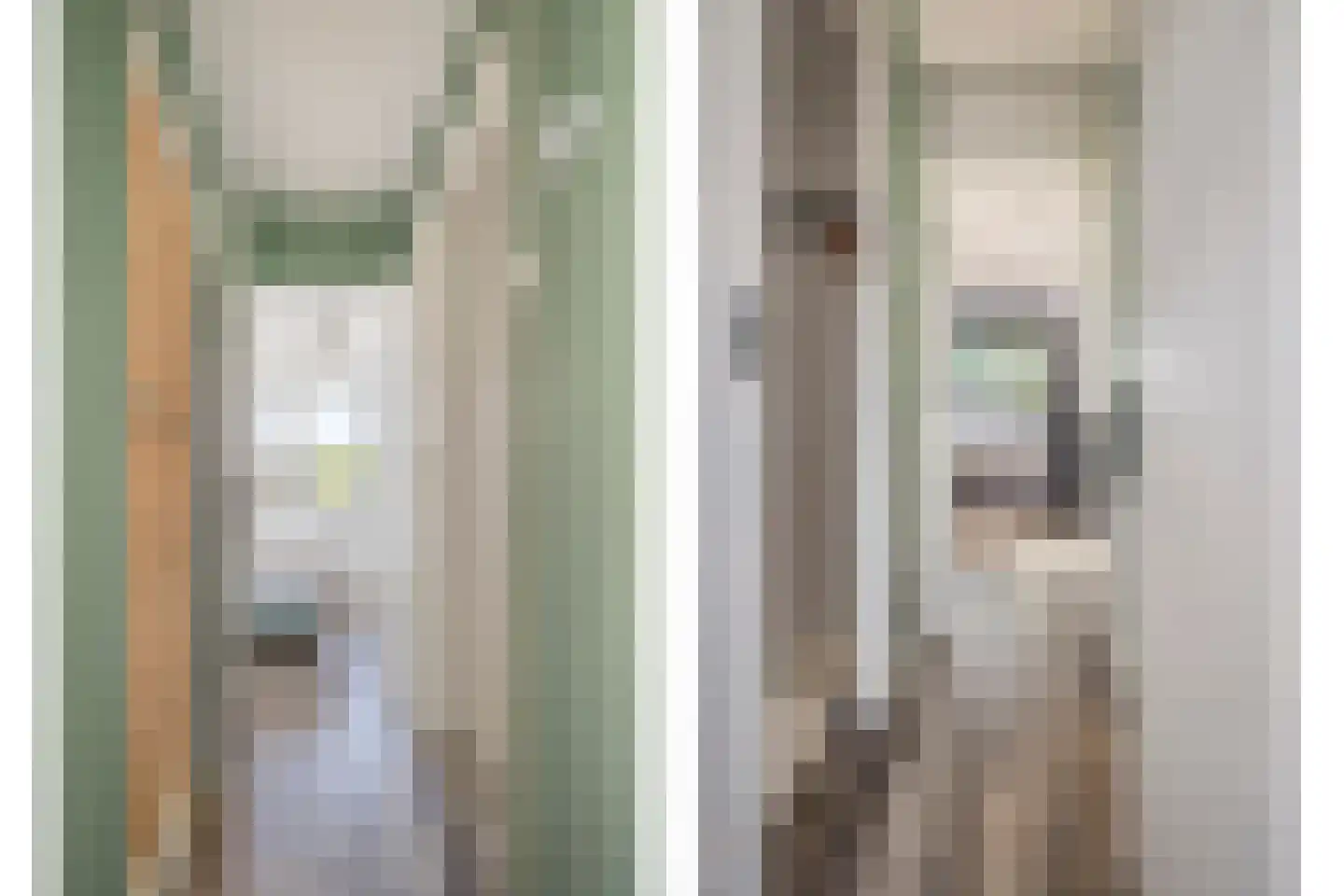 Zijde 354 Boskoop thumbnail 13
