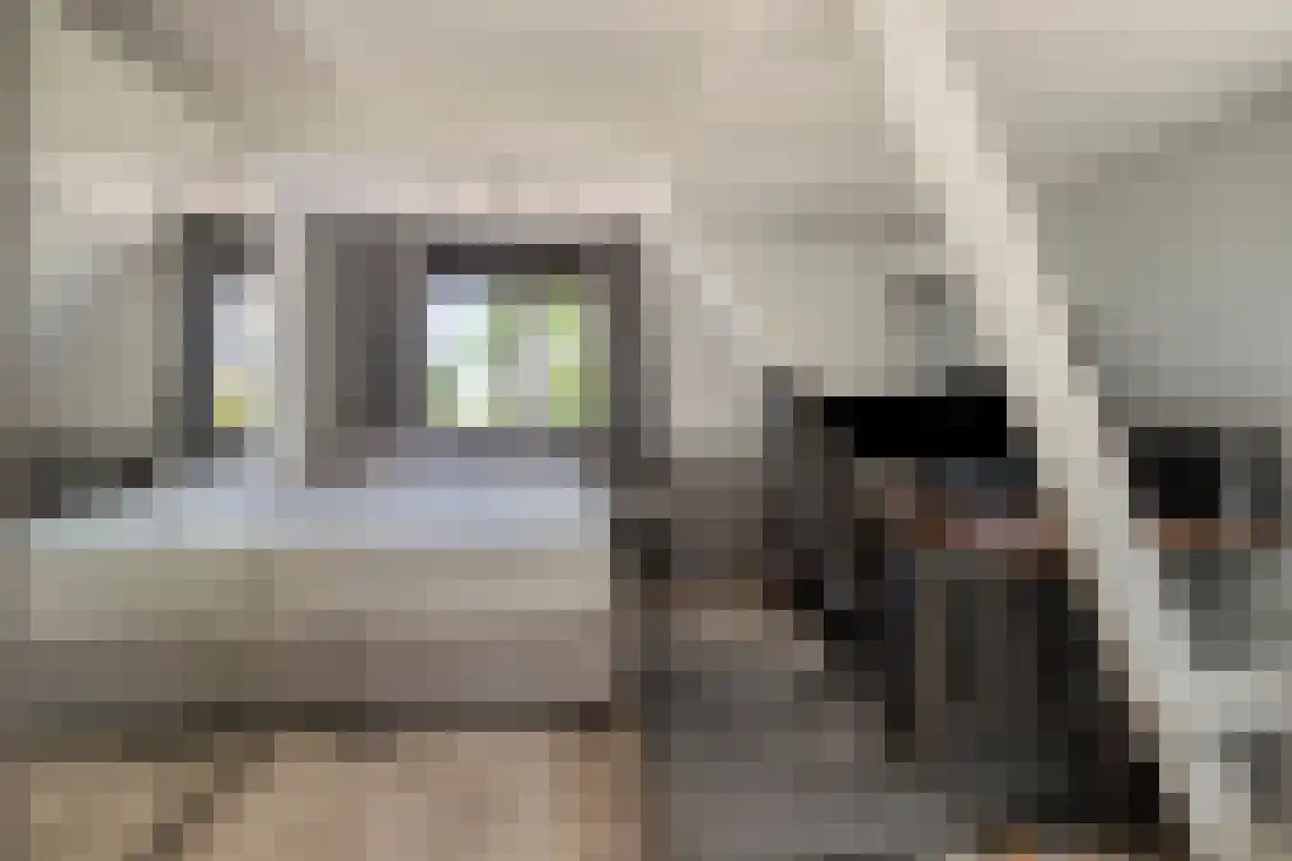Zijde 354 Boskoop thumbnail 14