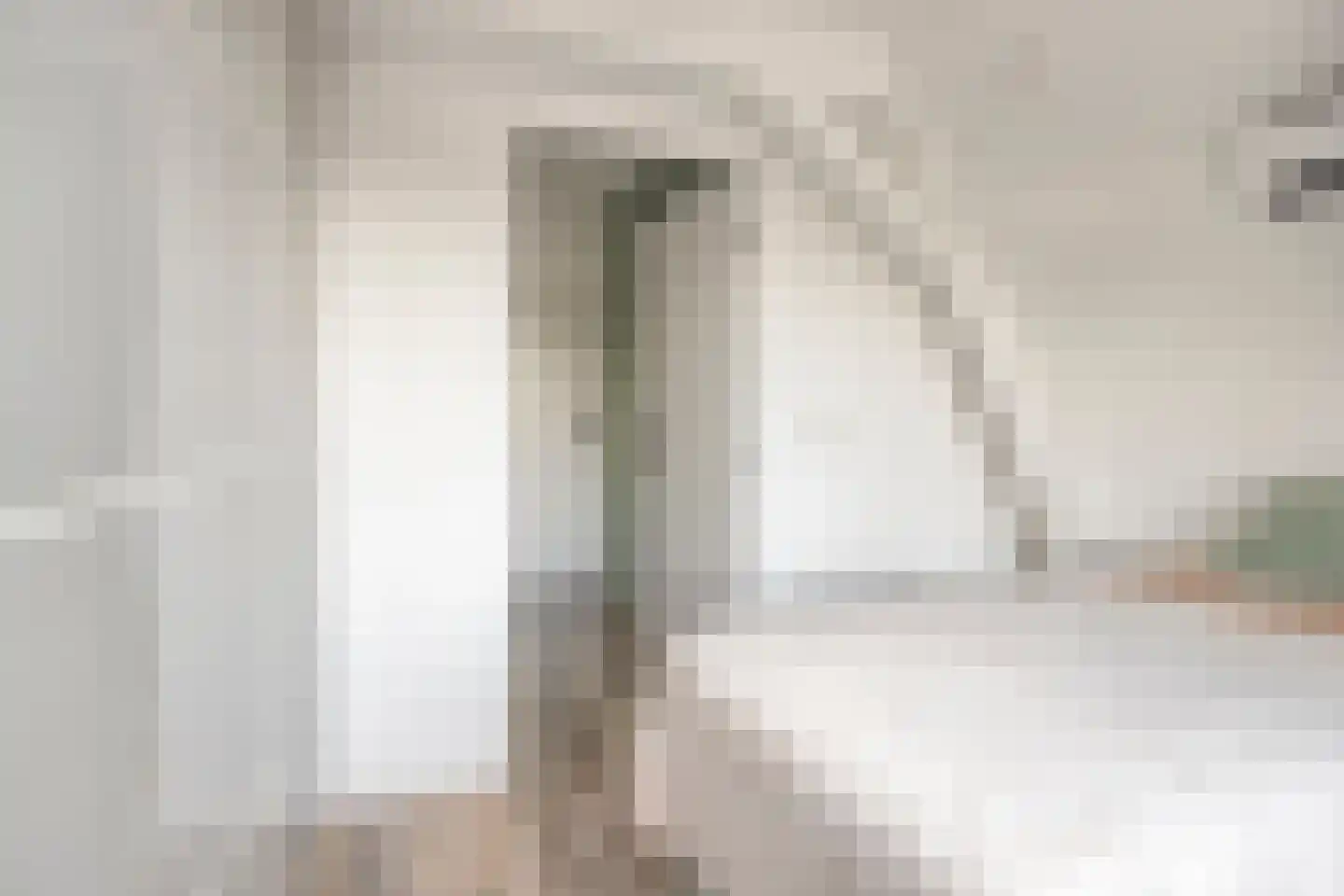 Zijde 354 Boskoop thumbnail 17