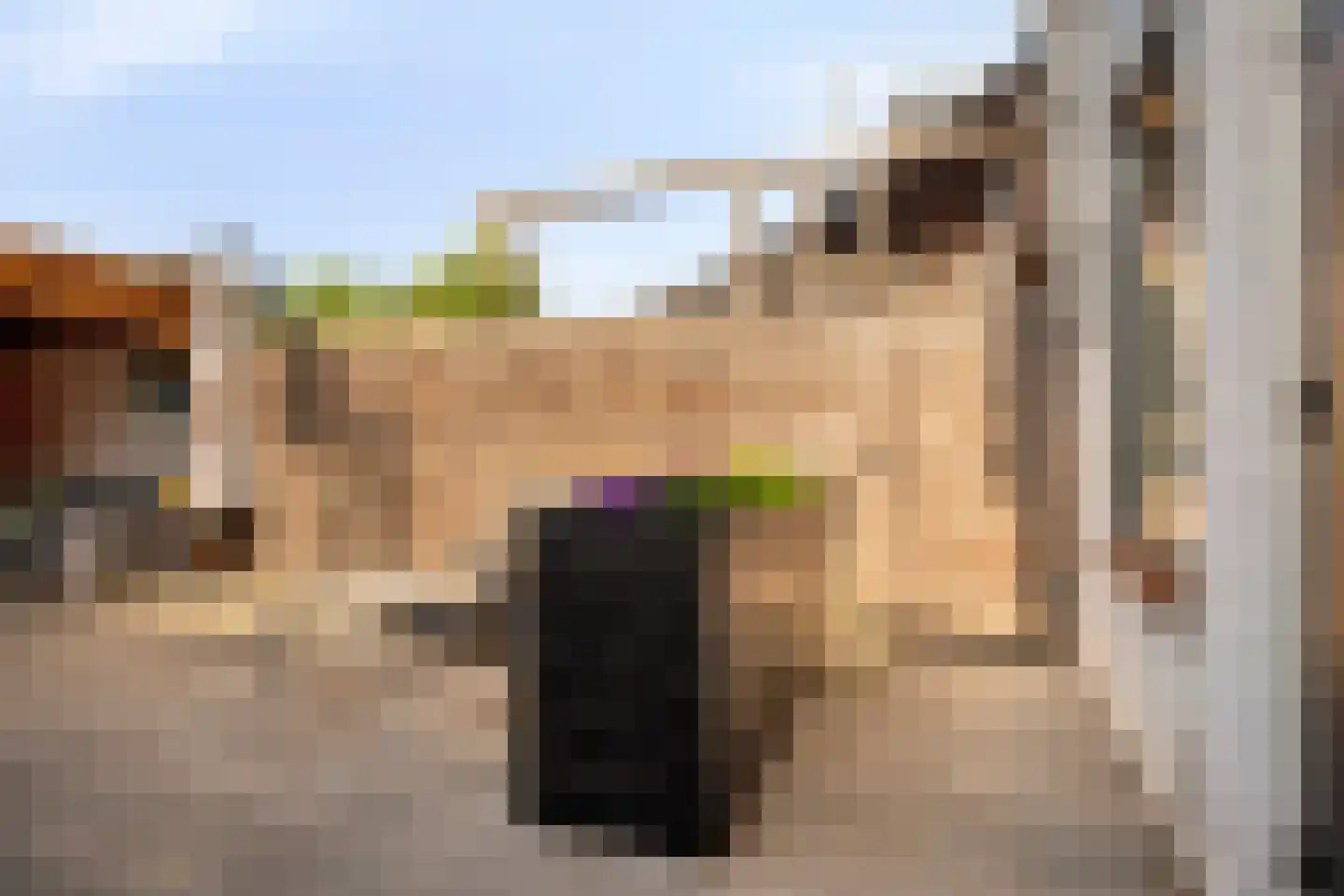Zijde 354 Boskoop thumbnail 19