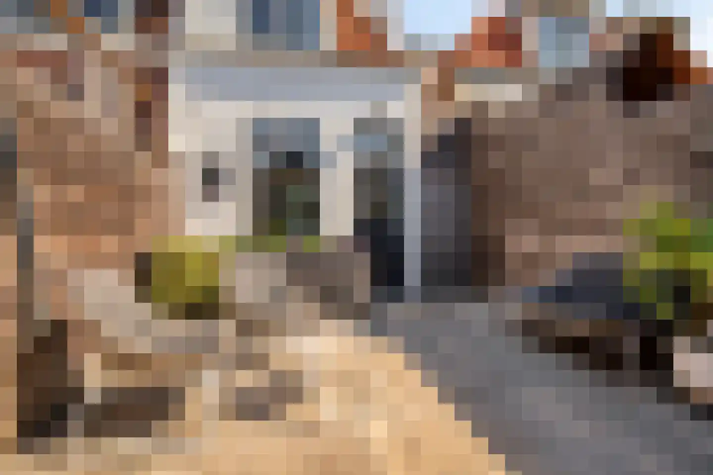 Zijde 354 Boskoop thumbnail 22