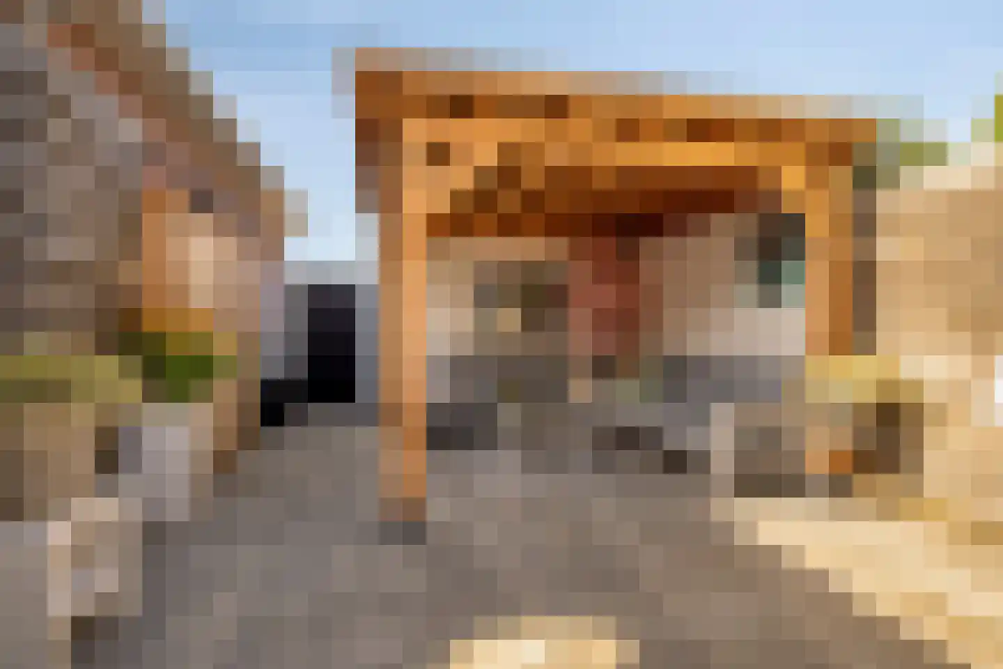 Zijde 354 Boskoop thumbnail 24