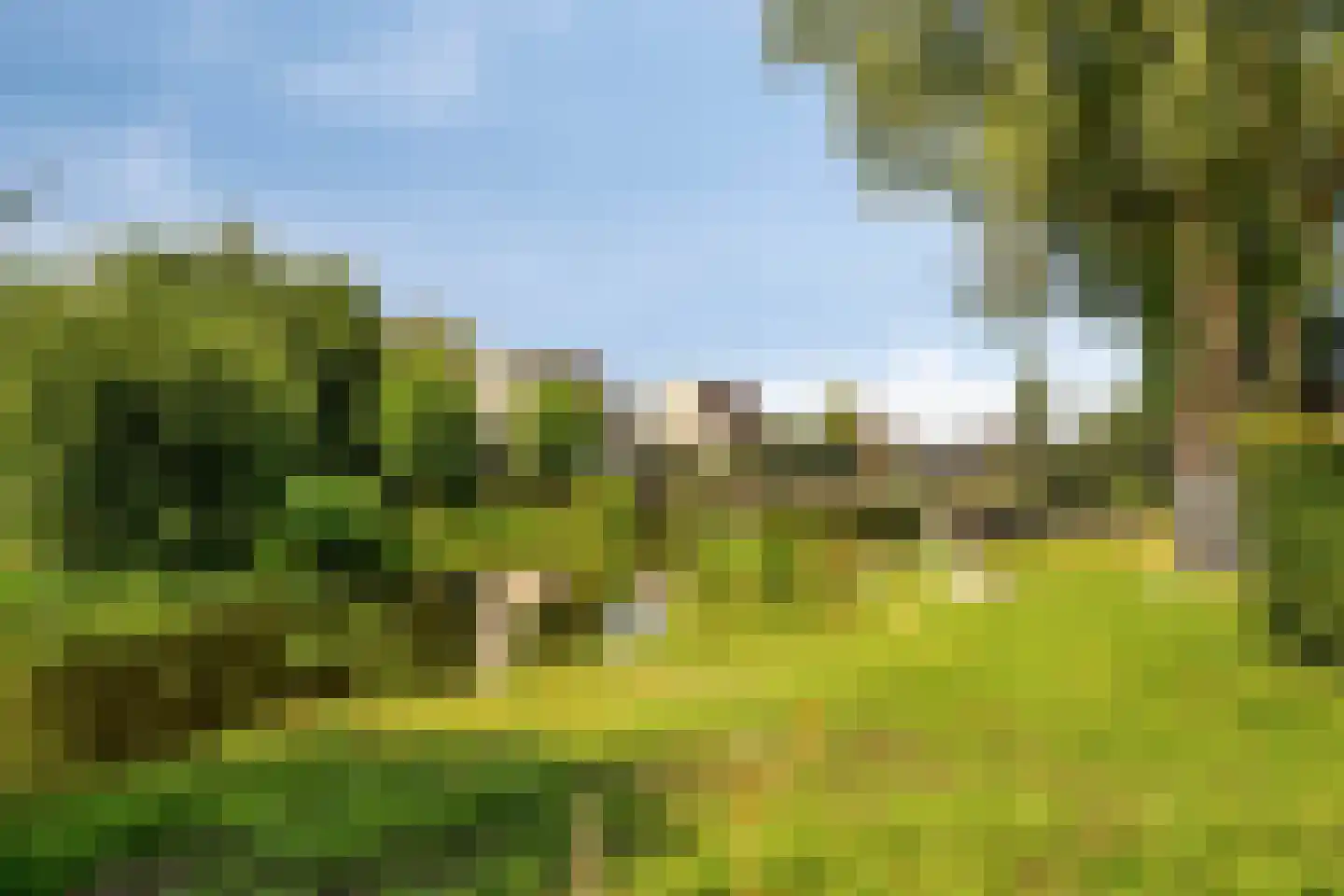 Zijde 354 Boskoop thumbnail 26