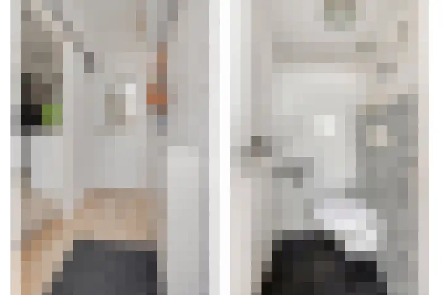 Zijde 354 Boskoop thumbnail 6