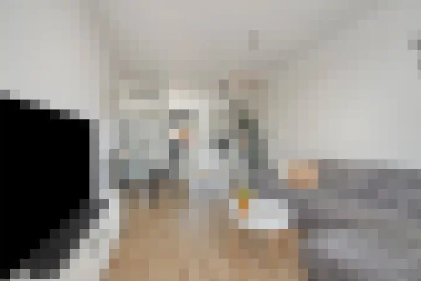 Zijde 354 Boskoop thumbnail 9