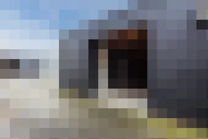 Zijde 46 A Boskoop thumbnail 22