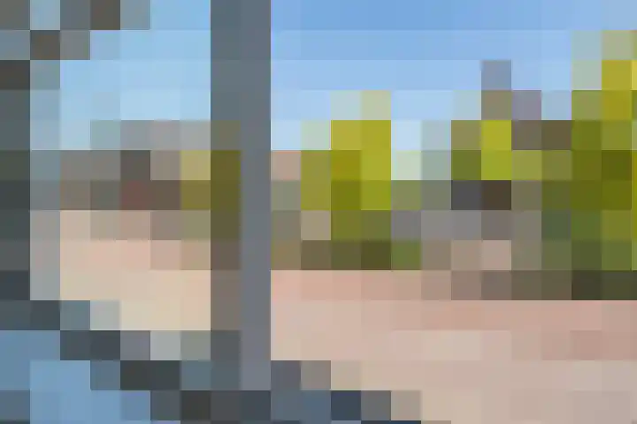 Zijde 46 B Boskoop thumbnail 13