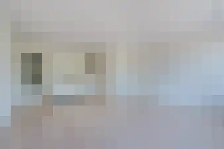 Zijde 46 B Boskoop thumbnail 15