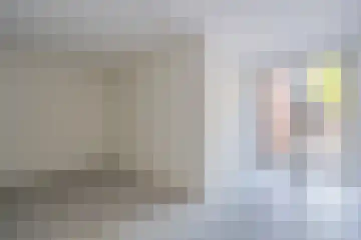 Zijde 46 B Boskoop thumbnail 16